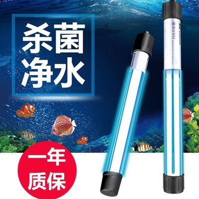 魚缸換水時使用殺菌燈需謹慎使用紫外線殺菌燈需謹慎使用：使用殺菌燈的注意事項 魚缸換水時使用殺菌燈需謹慎使用紫外線殺菌燈需謹慎使用：使用殺菌燈的注意事項 魚缸百科 第2張