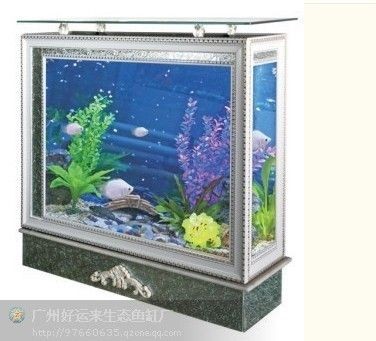 廣州魚缸市場(chǎng)的價(jià)格走勢(shì)：廣州魚缸定制服務(wù) 廣州魚缸市場(chǎng)的價(jià)格走勢(shì)：廣州魚缸定制服務(wù) 魚缸百科 第3張