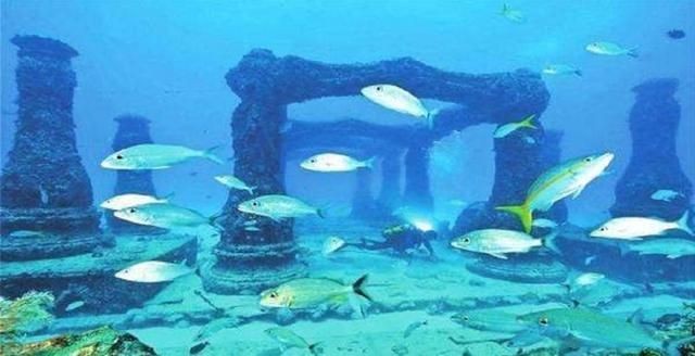 海王魚缸廠家全稱是什么意思啊（\"海王魚缸廠家全稱\"中國)有限公司）