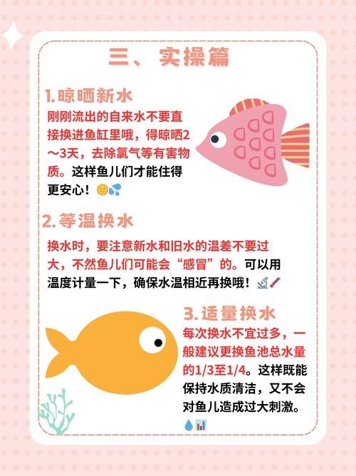 龍魚和什么魚混養(yǎng)最好視頻教學(xué)圖片