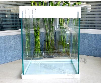 新加坡仟湖魚缸：新加坡仟湖魚缸十大品牌排行榜，新加坡仟湖魚缸品牌排名