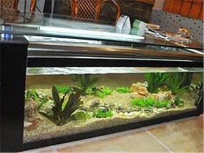 魚缸單價：不同魚缸的單價