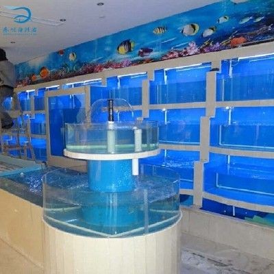 海鮮魚缸過濾系統的構建：diy魚缸過濾器指南