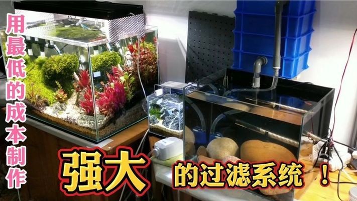 彩蝶魚缸廠家銷售電話號碼查詢（彩蝶魚缸加盟條件流程）