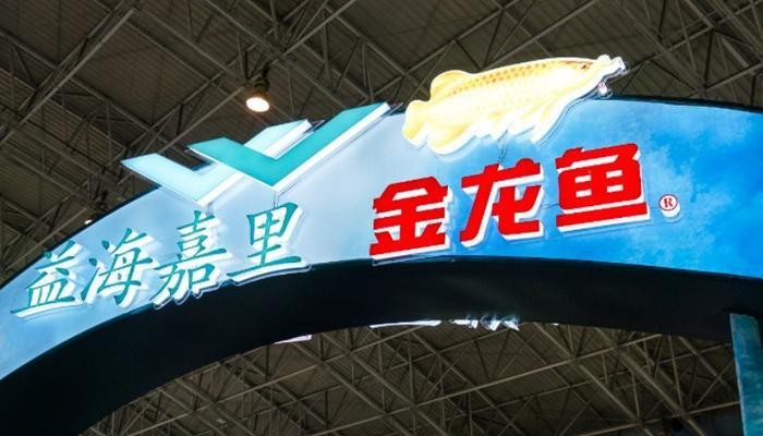 紅背金龍魚的市場炒作情況