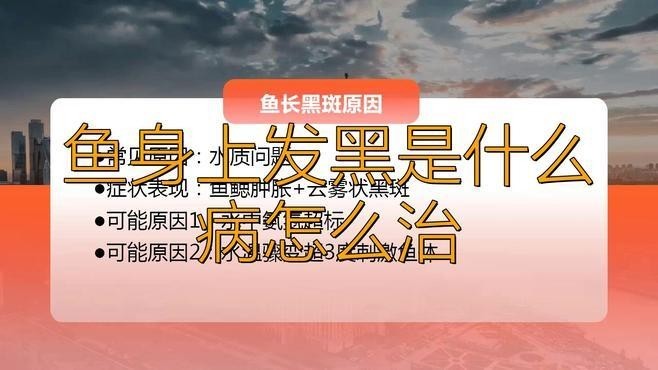 雷龍魚黑斑