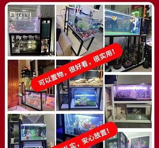 魚缸過濾系統的布局優化：如何優化魚缸過濾系統的布局 魚缸過濾系統的布局優化：如何優化魚缸過濾系統的布局 魚缸百科 第4張