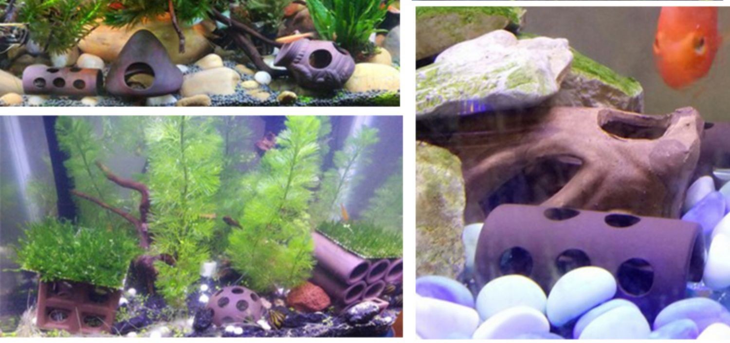 異形魚缸如何布景：異形魚缸布景設計的要點