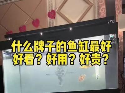 龍魚缸哪個牌子性價比高又好用（性價比高且好用的龍魚缸） 龍魚缸哪個牌子性價比高又好用（性價比高且好用的龍魚缸） 魚缸百科 第3張
