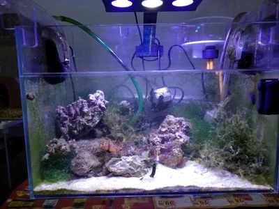 廢棄的魚缸如何處理？：壞掉的魚缸可以通過多種方式進行處理魚缸碎片處理 廢棄的魚缸如何處理？：壞掉的魚缸可以通過多種方式進行處理魚缸碎片處理 魚缸百科 第2張