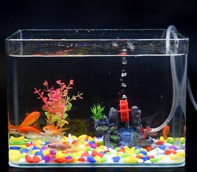 魚(yú)缸濾水器怎么用圖解：如何正確使用魚(yú)缸濾水器 魚(yú)缸濾水器怎么用圖解：如何正確使用魚(yú)缸濾水器 魚(yú)缸百科 第5張