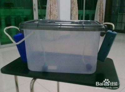 魚缸增氧泵一天開多長時間（魚缸增氧泵一天開多長時間魚缸增氧泵使用時間并不固定不變） 魚缸增氧泵一天開多長時間（魚缸增氧泵一天開多長時間魚缸增氧泵使用時間并不固定不變） 魚缸百科 第1張