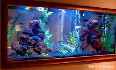 魚缸增氧泵一天開多長時間（魚缸增氧泵一天開多長時間魚缸增氧泵使用時間并不固定不變） 魚缸增氧泵一天開多長時間（魚缸增氧泵一天開多長時間魚缸增氧泵使用時間并不固定不變） 魚缸百科 第4張