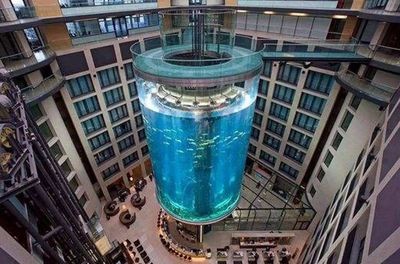 德國魚缸電梯品牌的知名品牌：德國魚缸電梯品牌 德國魚缸電梯品牌的知名品牌：德國魚缸電梯品牌 魚缸百科 第3張