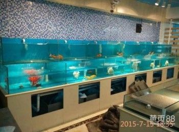 選擇海鮮專用魚缸需要了解哪些材質：海鮮專用魚缸品牌排行榜：海鮮專用魚缸品牌排名