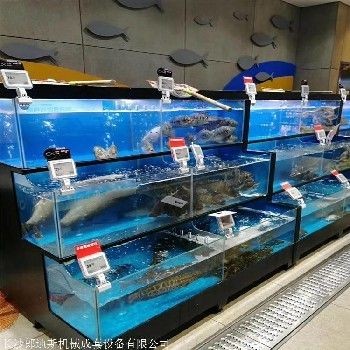 選擇海鮮專用魚缸需要了解哪些材質：海鮮專用魚缸品牌排行榜：海鮮專用魚缸品牌排名