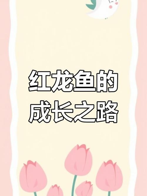 馬來西亞紅龍魚長大圖片大全高清