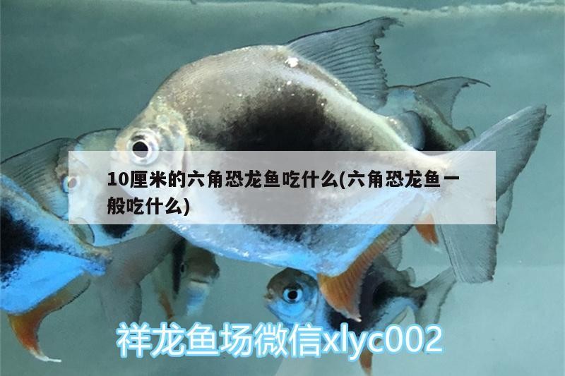 華亭縣安口鎮深港美發店（華亭縣安口鎮深港美發店電話）