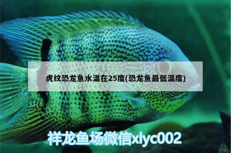 紅龍魚用黃燈烤有用嗎 沈陽二手魚缸58同城網(wǎng)店(沈陽魚缸廠家有沒有好點(diǎn)的) 全國水族館企業(yè)名錄 沈陽二手魚缸58同城網(wǎng)店(沈陽魚缸廠家有沒有好點(diǎn)的) 沈陽二手魚缸58同城網(wǎng)店(沈陽魚缸廠家有沒有好點(diǎn)的) 全國水族館企業(yè)名錄