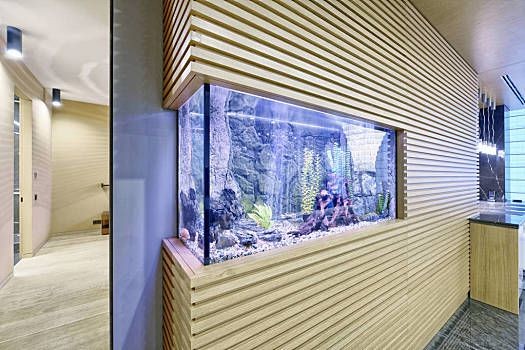 辦公室風水布局指南，辦公室風水與健康關系：公司魚缸擺放位置 辦公室風水布局指南，辦公室風水與健康關系：公司魚缸擺放位置 魚缸百科 第3張