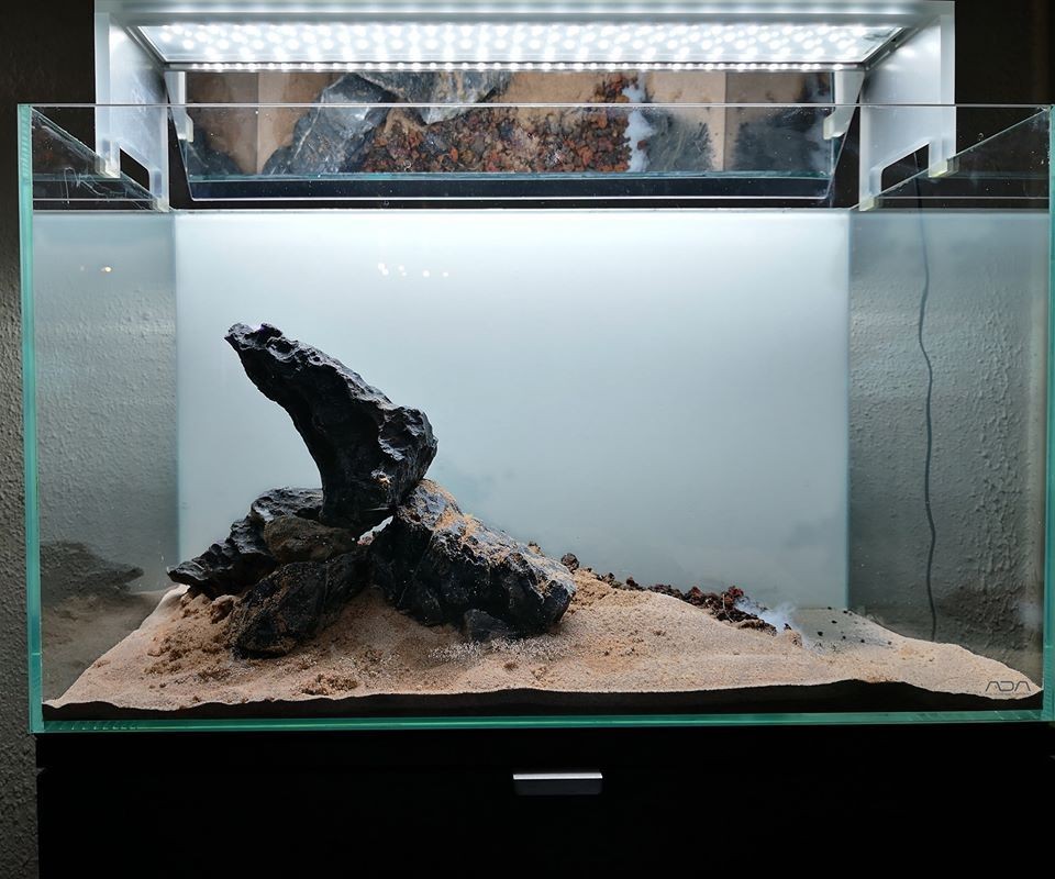 國外60鼠魚缸造景:國外60鼠魚缸造景詳情 魚缸百科 第3張 國外60鼠魚缸造景:國外60鼠魚缸造景詳情 國外60鼠魚缸造景:國外60鼠魚缸造景詳情 魚缸百科 第3張
