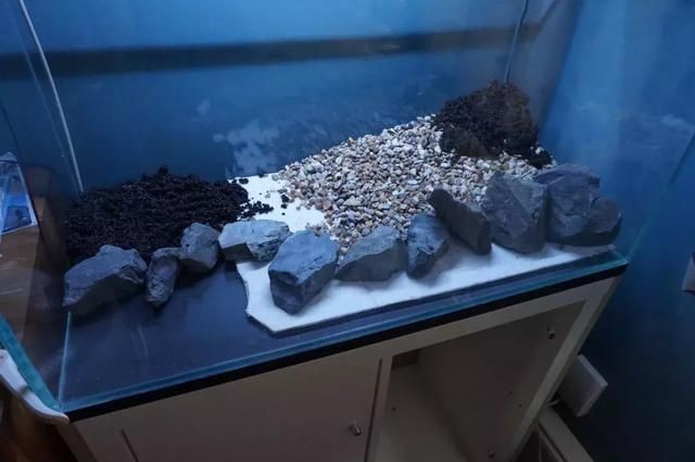 國外60鼠魚缸造景:國外60鼠魚缸造景詳情 魚缸百科 第2張 國外60鼠魚缸造景:國外60鼠魚缸造景詳情 國外60鼠魚缸造景:國外60鼠魚缸造景詳情 魚缸百科 第2張