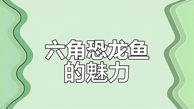 如何區(qū)分不同品種的六角恐龍魚？