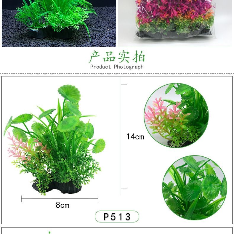 粉色魚缸造景風(fēng)格魚缸造景風(fēng)格在較大的魚缸造景風(fēng)格:如何打造一個(gè)夢幻的粉色魚缸? 魚缸百科 第3張 粉色魚缸造景風(fēng)格魚缸造景風(fēng)格在較大的魚缸造景風(fēng)格:如何打造一個(gè)夢幻的粉色魚缸? 粉色魚缸造景風(fēng)格魚缸造景風(fēng)格在較大的魚缸造景風(fēng)格:如何打造一個(gè)夢幻的粉色魚缸? 魚缸百科 第3張