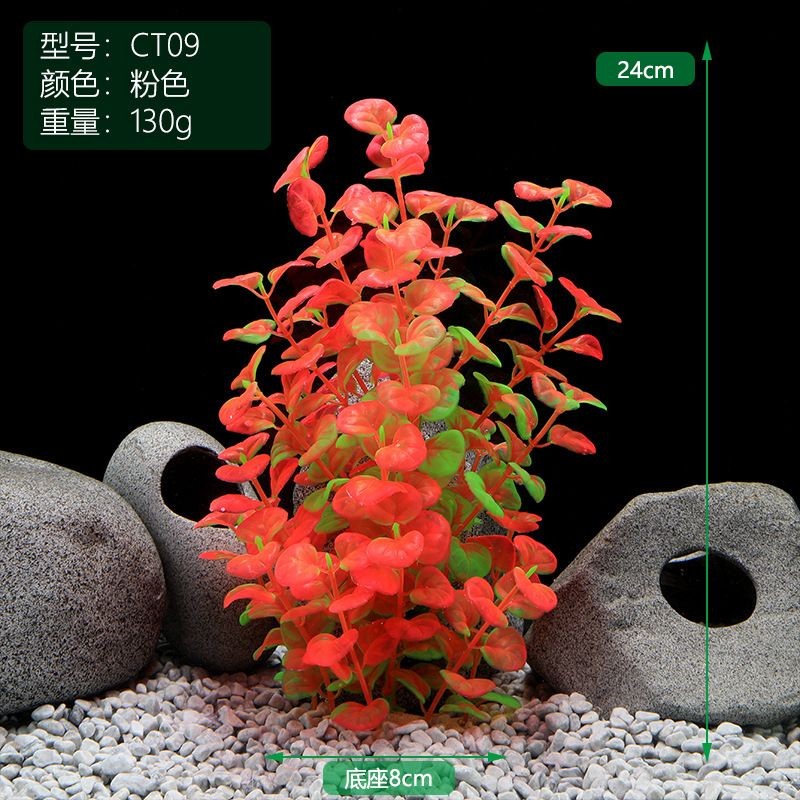 粉色魚缸造景風(fēng)格魚缸造景風(fēng)格在較大的魚缸造景風(fēng)格:如何打造一個(gè)夢幻的粉色魚缸? 魚缸百科 第1張 粉色魚缸造景風(fēng)格魚缸造景風(fēng)格在較大的魚缸造景風(fēng)格:如何打造一個(gè)夢幻的粉色魚缸? 粉色魚缸造景風(fēng)格魚缸造景風(fēng)格在較大的魚缸造景風(fēng)格:如何打造一個(gè)夢幻的粉色魚缸? 魚缸百科 第1張