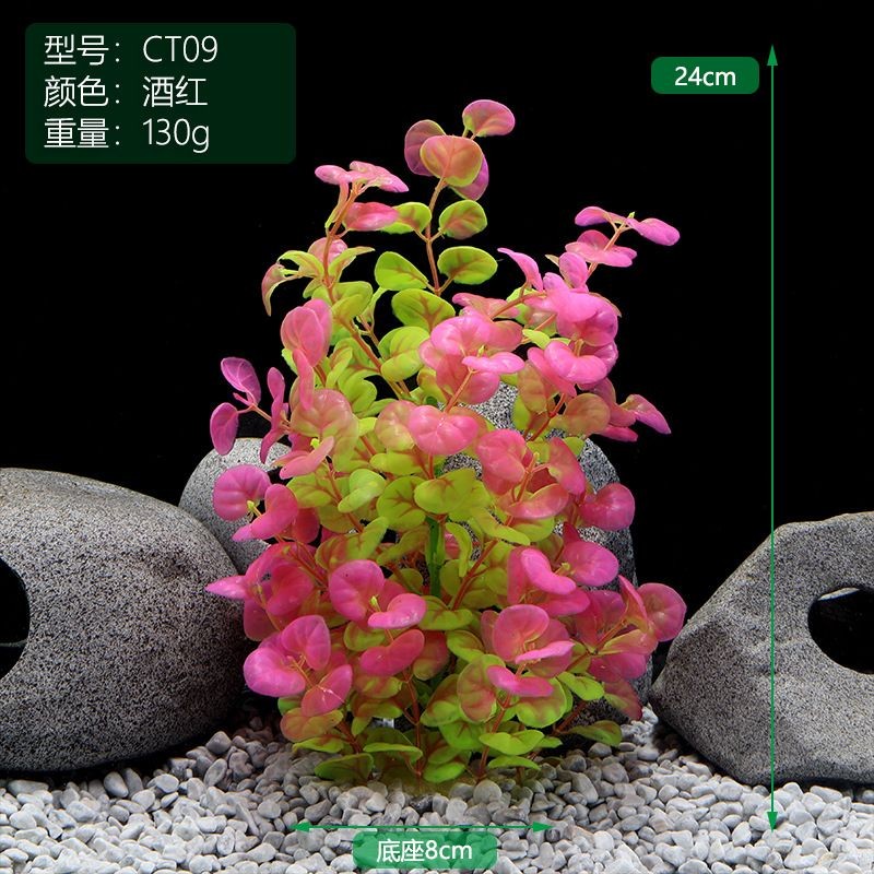 粉色魚缸造景風(fēng)格魚缸造景風(fēng)格在較大的魚缸造景風(fēng)格：如何打造一個(gè)夢幻的粉色魚缸？ 粉色魚缸造景風(fēng)格魚缸造景風(fēng)格在較大的魚缸造景風(fēng)格：如何打造一個(gè)夢幻的粉色魚缸？ 魚缸百科 第2張