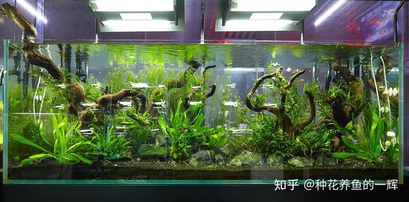 能再詳細說說簡約裸缸風格嗎？
