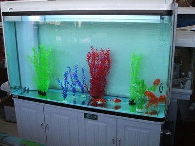 龍魚缸哪個牌子性價比高一點（龍魚缸品牌中性價比高的有
