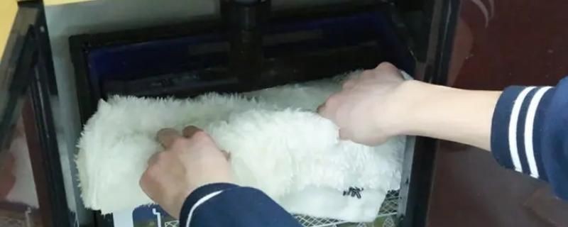 魚缸過(guò)濾棉怎么放過(guò)濾效果好視頻:如何在魚缸中正確放置過(guò)濾棉 魚缸百科 第3張 魚缸過(guò)濾棉怎么放過(guò)濾效果好視頻:如何在魚缸中正確放置過(guò)濾棉 魚缸過(guò)濾棉怎么放過(guò)濾效果好視頻:如何在魚缸中正確放置過(guò)濾棉 魚缸百科 第3張