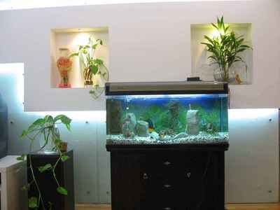 店鋪魚缸的最佳擺放位置對于店鋪的風水有著重要的影響：店鋪魚缸的擺放位置對于店鋪的風水有著重要的影響