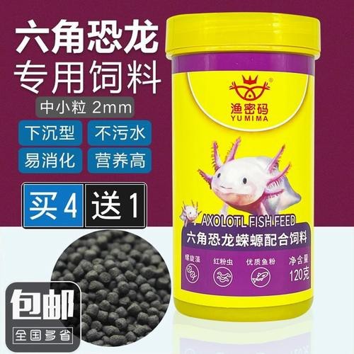 恐龍魚能吃多大的魚糧圖片高清