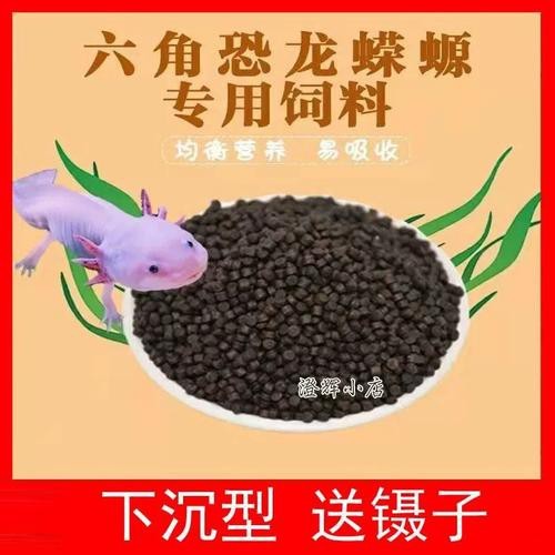 恐龍魚能吃多大的魚糧圖片高清