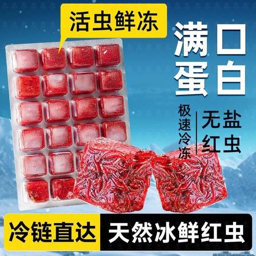 恐龍魚能吃多大的魚糧圖片高清