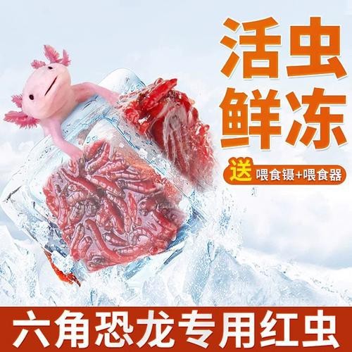 恐龍魚能吃多大的魚糧圖片高清