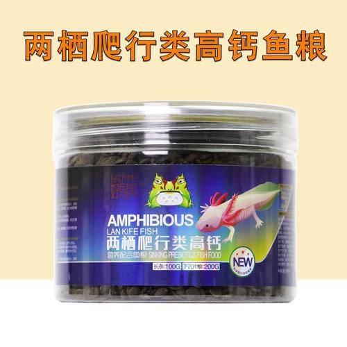 恐龍魚能吃多大的魚糧圖片高清