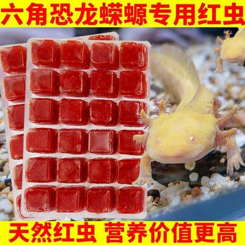 恐龍魚能吃多大的魚糧圖片高清