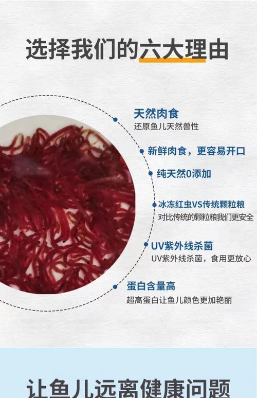 恐龍魚能吃多大的魚糧圖片高清