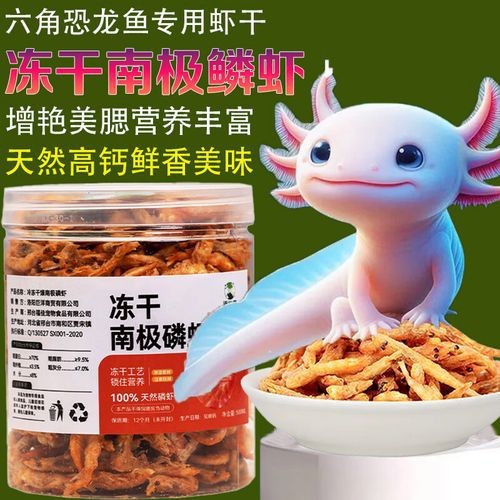恐龍魚能吃多大的魚糧圖片高清