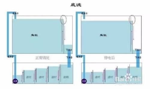 底濾魚缸在停電的情況下通常不會漏水，主要歸功于魚缸設計：底濾魚缸在停電時會不會漏水