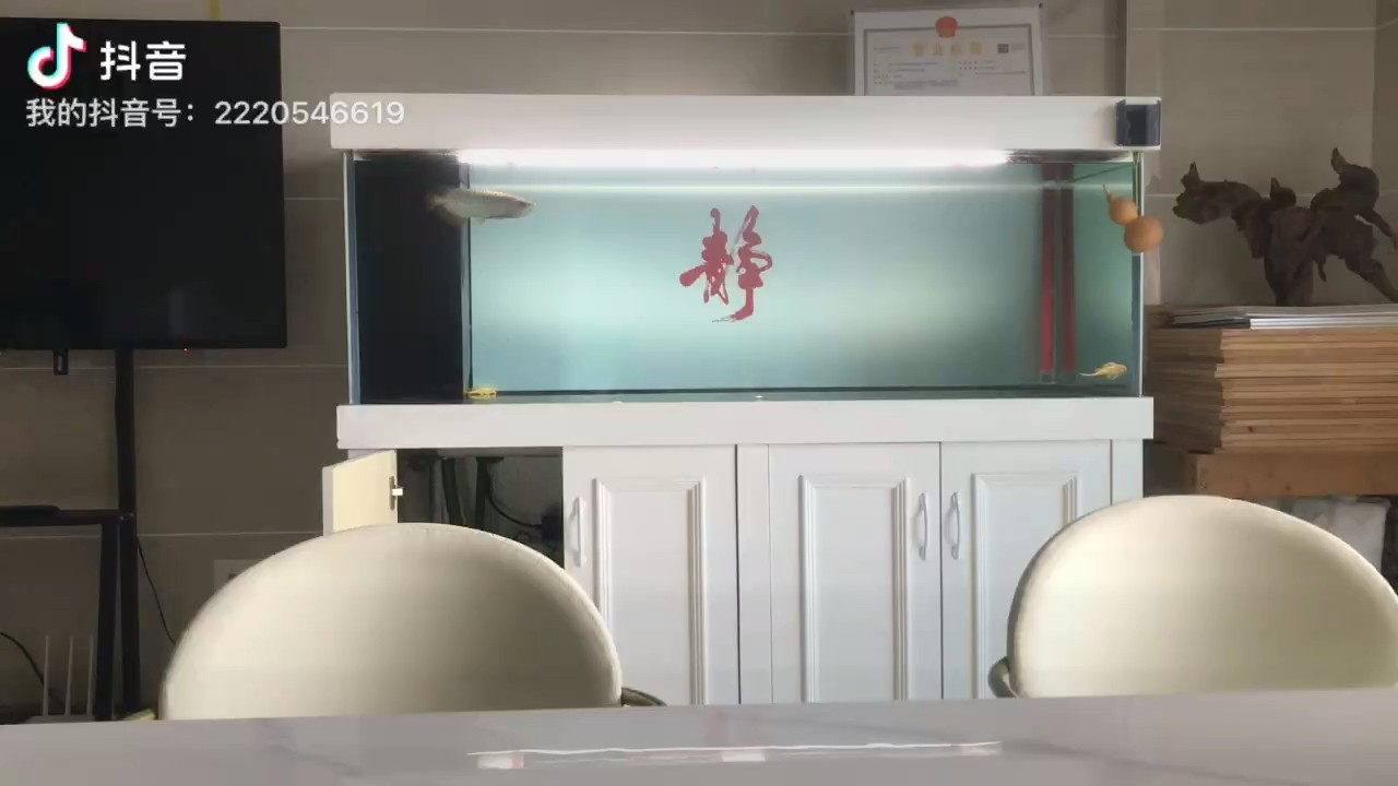 紅龍魚兜嘴：紅龍魚兜嘴怎么辦