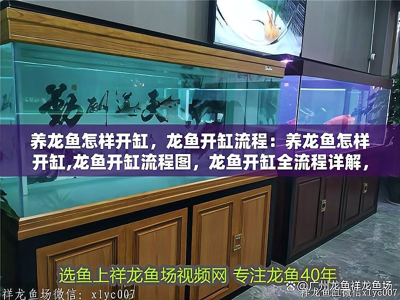 龍魚魚缸應該選擇什么樣的過濾器？ 龍魚魚缸應該選擇什么樣的過濾器？ 龍魚百科 第10張