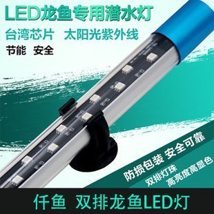龍魚缸用節能燈還是用日光燈好：龍魚缸使用節能燈還是日光燈