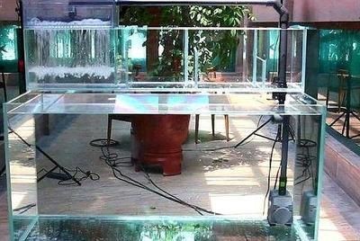 選擇定制魚缸還是成品魚缸時需要考慮多個因素：定制魚缸好還是成品魚缸好？