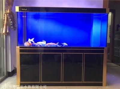無錫鴻顏水族工程公司定制超白魚缸的藝術與工藝定制：定制超白魚缸的優勢