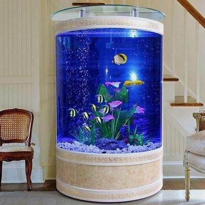 歐式半圓魚缸適合養魚嗎：歐式半圓魚缸是否適合養魚
