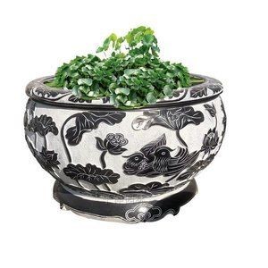 歐式半圓魚缸適合養魚嗎：歐式半圓魚缸是否適合養魚
